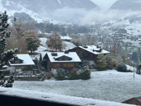 Charming Flat in the Heart of Saanen
